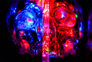 Displaying our newly created Universal Death Brain Light and Sound Sculpture, created by Darcy Neal and Haley Moore of LadyBrain Studios, dubbed The Universal Death Sound and Light cube v.1, Created for the Flaming Lips for their ongoing installation at the American Visionary Art Museum in Baltimore, MD